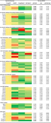 Atrial Transcriptional Profiles of Molecular Targets Mediating Electrophysiological Function in Aging and Pgc-1β Deficient Murine Hearts